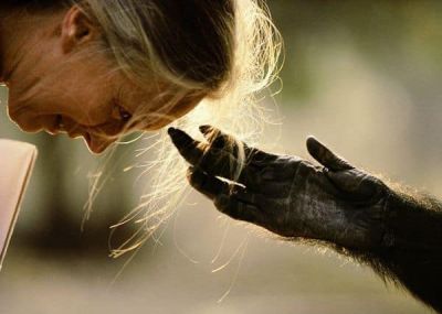 Jane Goodall, vincitrice del Premio Templeton 2021